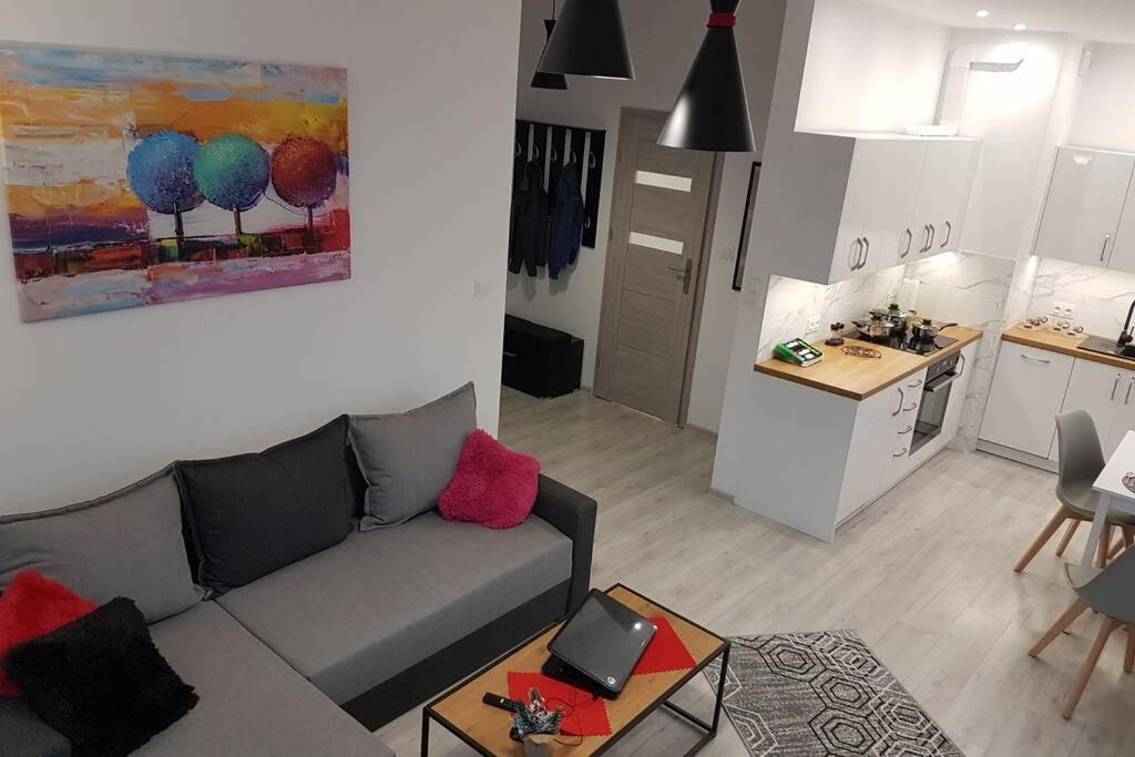 Komfortowy Nowoczesny Apartament Kustronia Z Garazem Balkonem Wanna Белско-Бяла Екстериор снимка